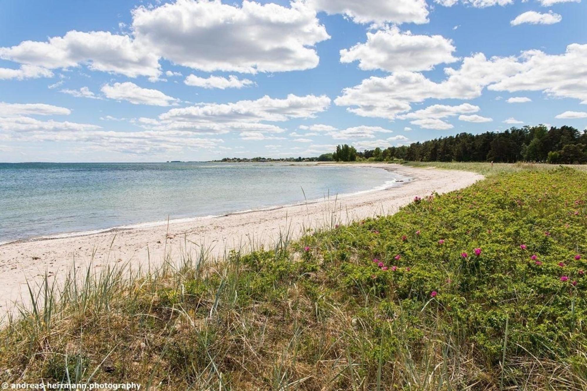 Neues Ferienhaus Auf Gotland 700 Meter Zum Meer Villa Ljugarn Exterior foto