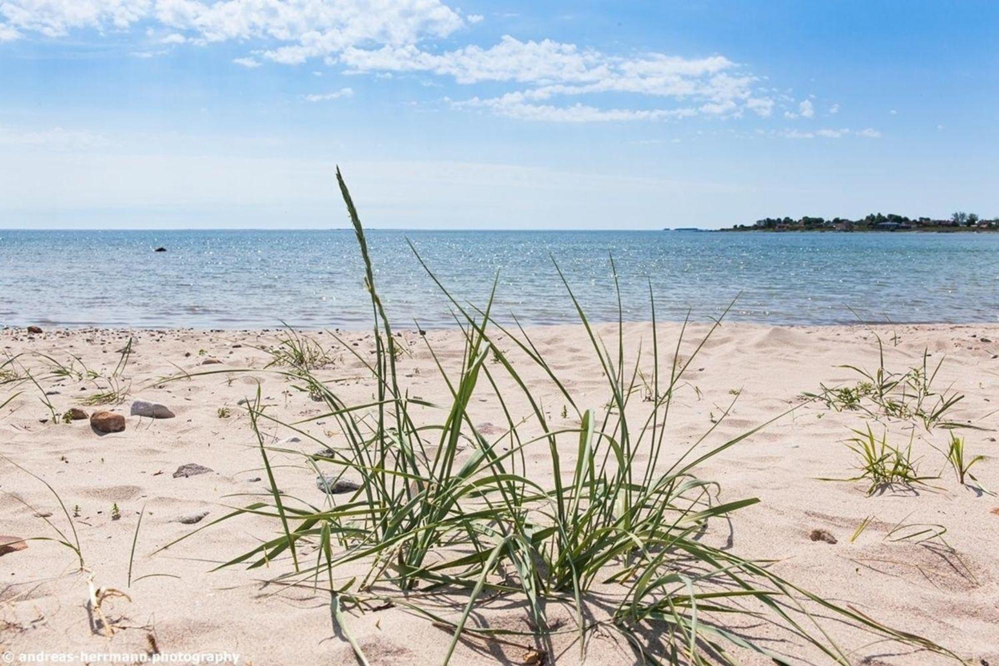 Neues Ferienhaus Auf Gotland 700 Meter Zum Meer Villa Ljugarn Exterior foto